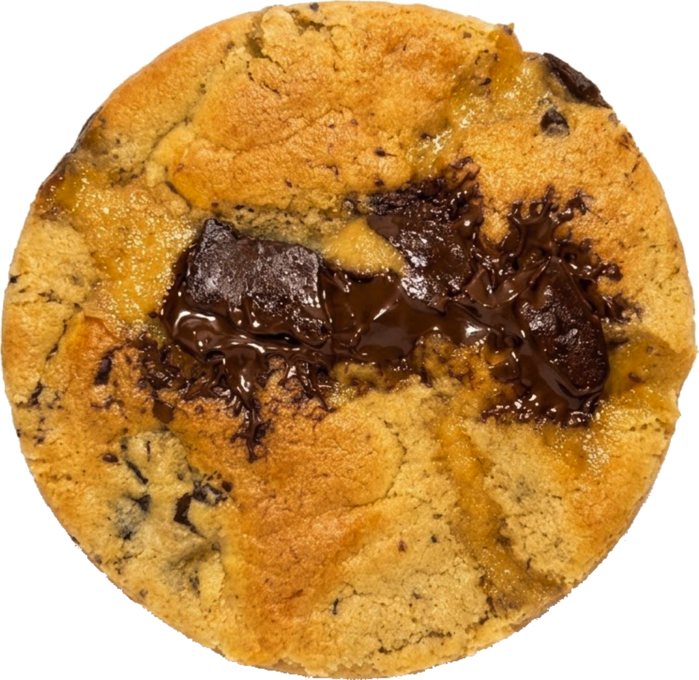 Galleta Vainilla Chips