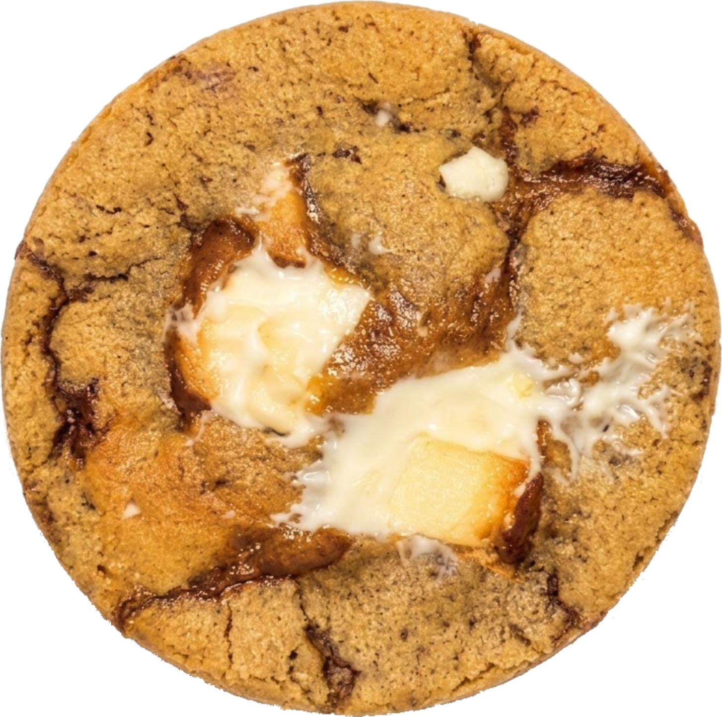 Galleta Canela